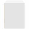 2 Drawer Cabinet White 60 x 31 x 40 cm Engineered Wood