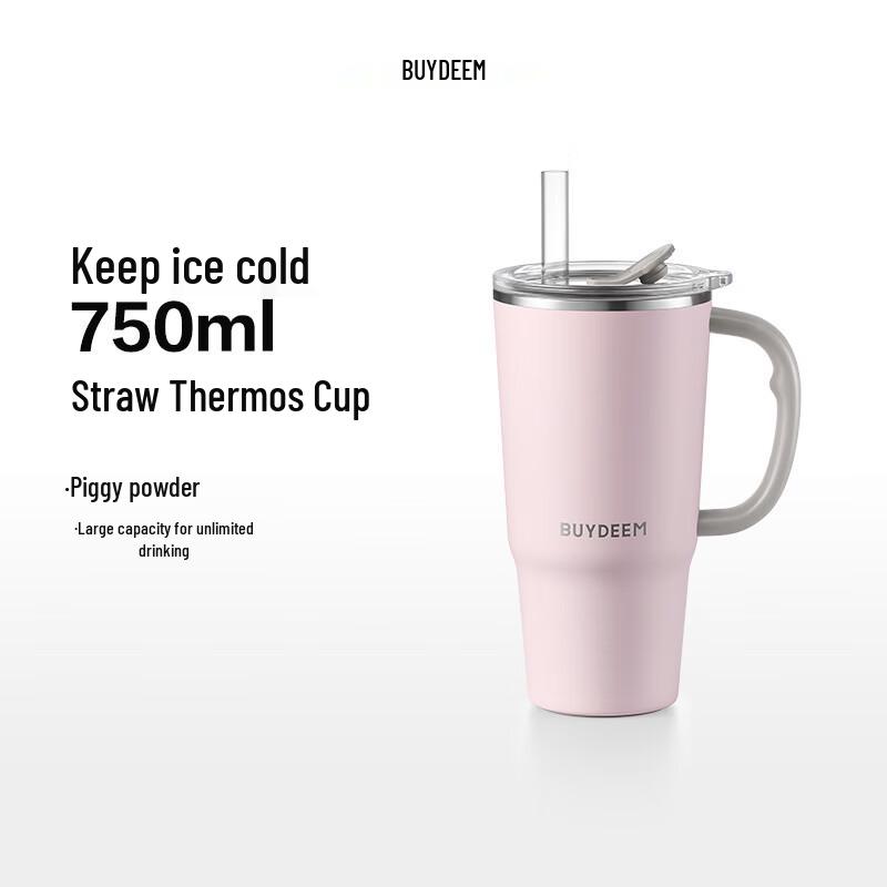 

Buydeem Jumbo 316L Stainless Steel Insulated Straw Cup