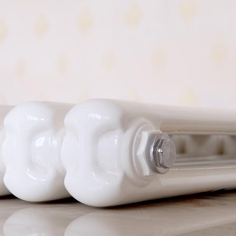 WanShunJia Wall-Mounted Steel Double Column Radiator