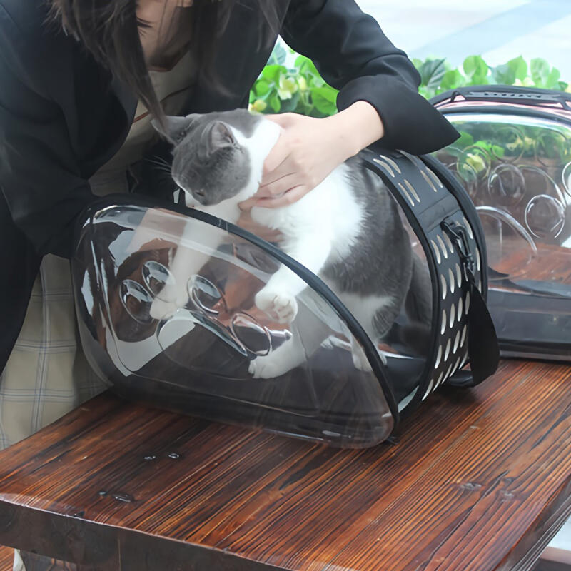 Small transparent dog carrier/carrier