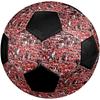 SK Slavia Praha Soccer Ball, Colorful, Suitable for All Ages, Machine-stitched, PVC Material, Competition Grade, Durable and High Bounce