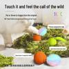 Cross-Border Sound-Activated Cat Toy: Gravity Bounce Squeaky Ball for Self-Play and Boredom Relief