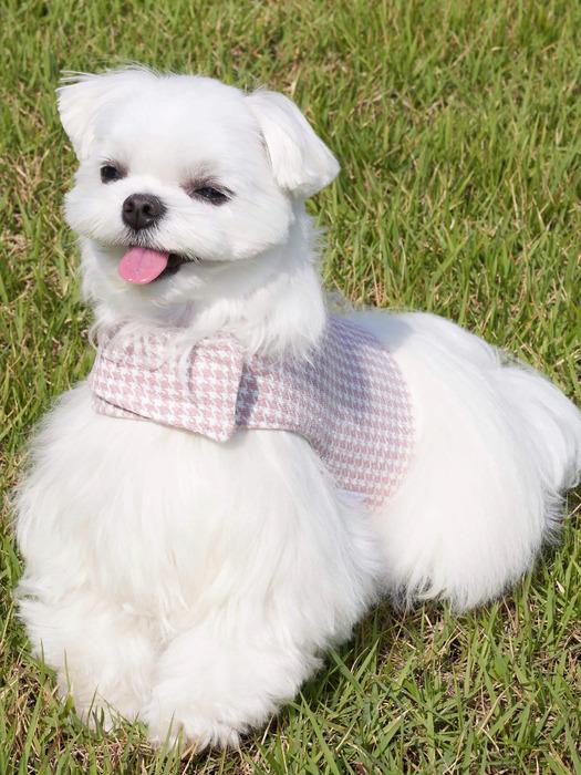 CROOKTHECHIHUAHUA Hound Pattern Harness - CREAM PINK Cream Pink