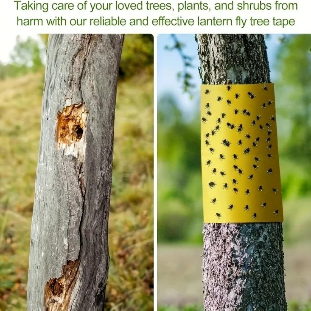 1Roll New Double-sided Adhesive Insect Proof Tape 10cm 10M Multifunction Garden Insect Trap Portable Fly Tree Tape Outdoor