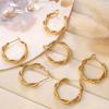 High-end Gold-plated Stainless Steel Hoop Earrings with Elegant Retro Hong Kong Style