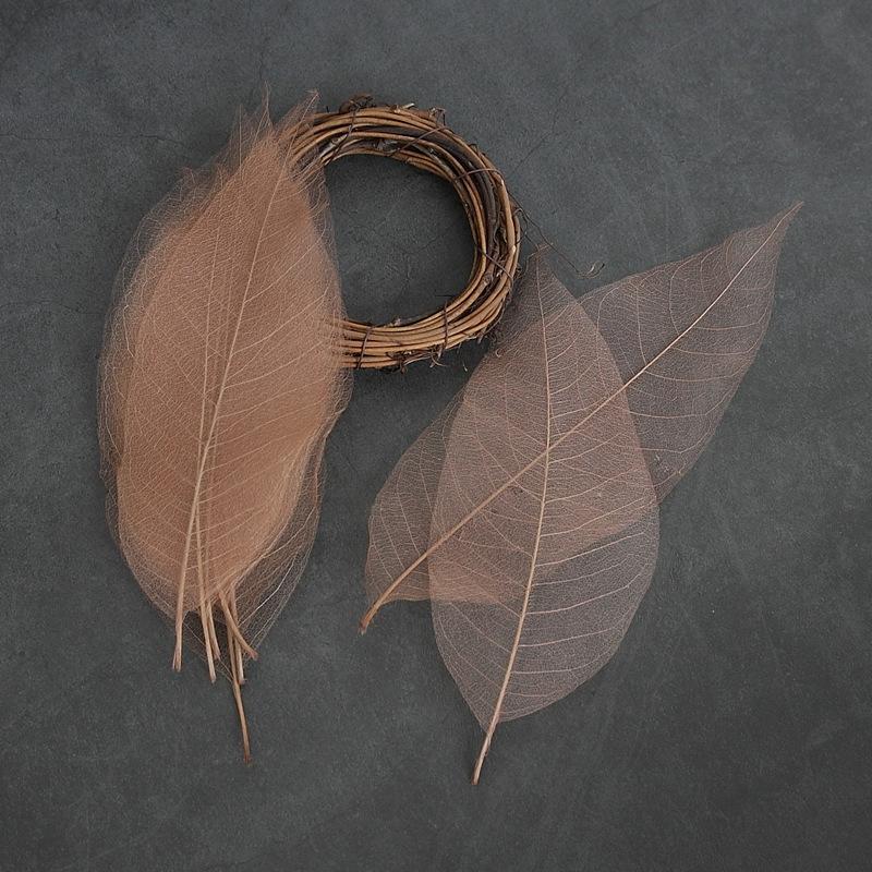 

10 шт. Натуральные листья-скелеты магнолии Листья Карточка Скрапбукинг Белый Праздничные принадлежности Свадьба Домашнее украшение 10pcs кофейный