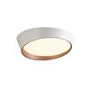 Heißer verkauf Decke kronleuchter Schlafzimmer Led-deckenleuchte Zimmer Lichter Beleuchtung decken Leuchte Original LED Decke Lampe Lichter