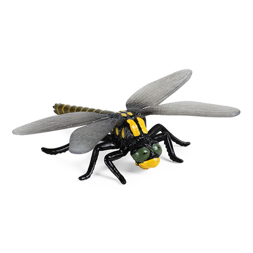 Spiders Dragonfly Gogga Model Realistic Scarab Toy for Kids and Collectors Toy Decorative Collection Gift