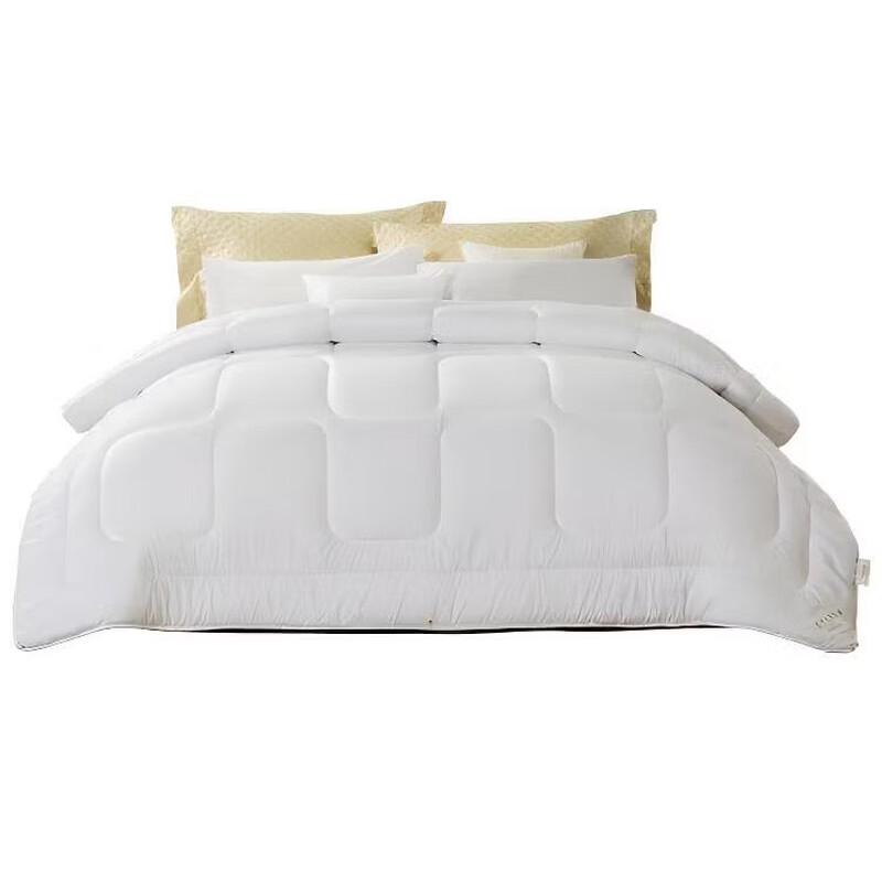 FUANNA An Ya Super Soft Brushed Winter Comforter