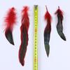 Natural Cock Feathers 5-7inch Colorful Pheasant Feather for Crafts Jewelry Making Accessory Party Clothing Decoration