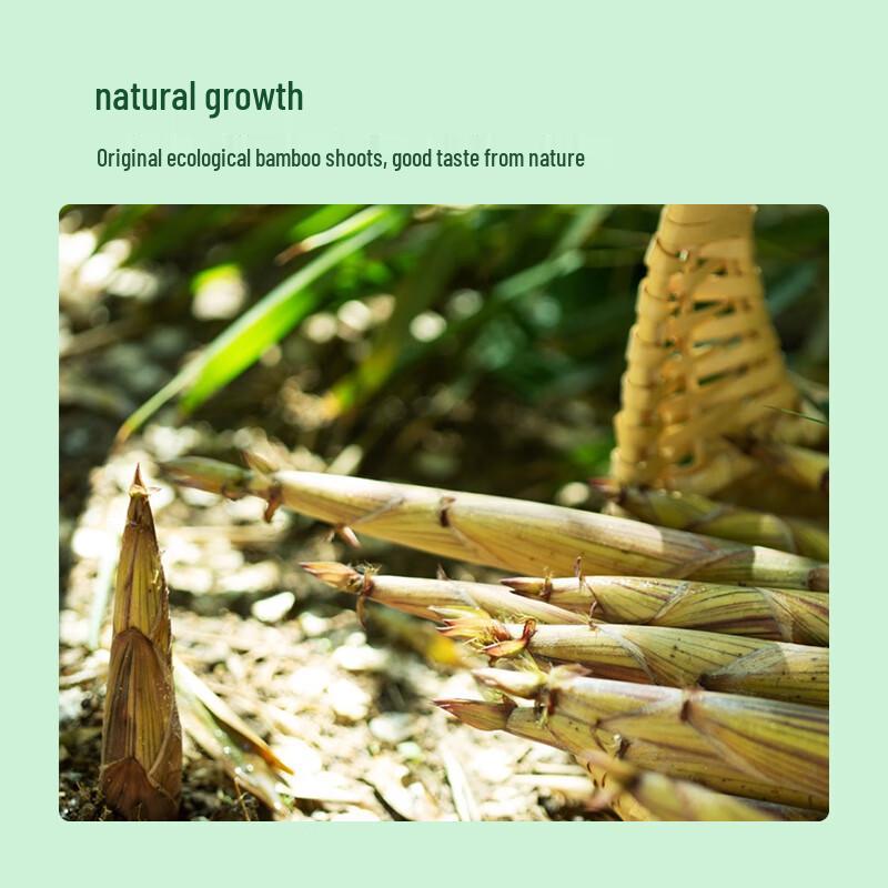 Jingxiansheng Jiangxi Clear Water Small Bamboo Shoots