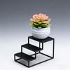 Simulated Succulents Artificial Succulents with Pots,plastic for Desktops, Offices and Decorations - Ideal for Decoration