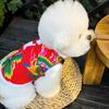 Dog Cotton-padded Jackets, Autumn And Winter Clothing, Cold-proof Thickened Pet Cat Clothes, Small Dog New Year Clothes