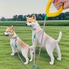 ,Ended Dog Leash, ,Tangling Double Leash for Small and Medium Dogs, Pet Walking Leash, Pet Supplies