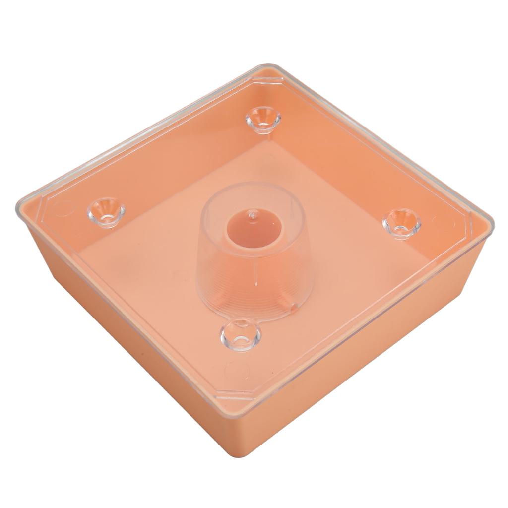 Acryl Kolibri Feeder Outdoor Beehive Top Feeder Platz Imkerei Wasser Feeder