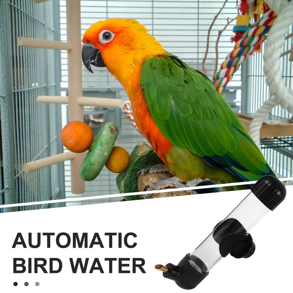 Bird Automatic Water Dispenser Hanging Design Large Clear Bottle Parakeet Parrot Cage Water Feeder Drinkers Parakeet Dispenser