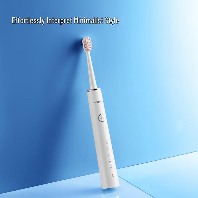 Flyco Sonic Electric Toothbrush
