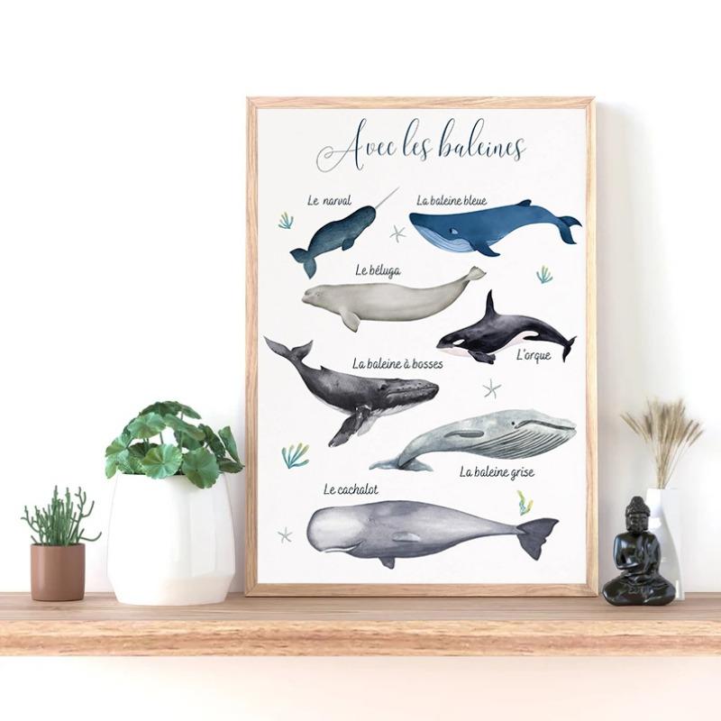 Cartoon Marine Animals Whales and Sharks Guide Poster and Prints Canvas Painting Wall Art Pictures Home Room Decoration