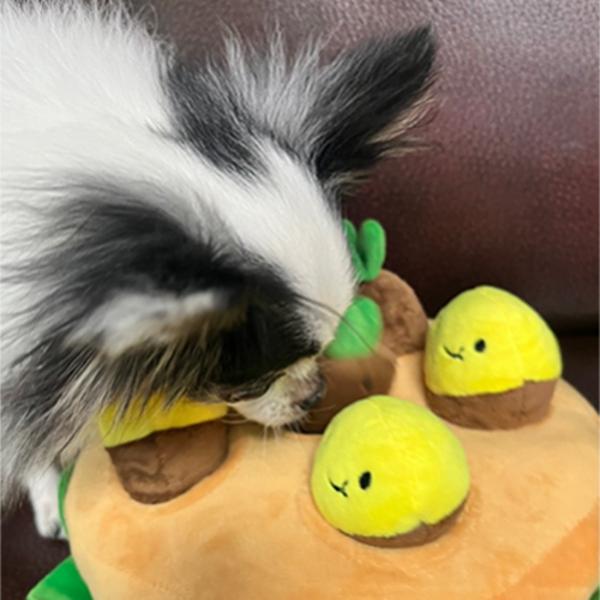 Witziges Hunde-Nasenarbeitsspielzeug, Süßkartoffel-Nasenarbeit, Süßkartoffel, 1 Stück