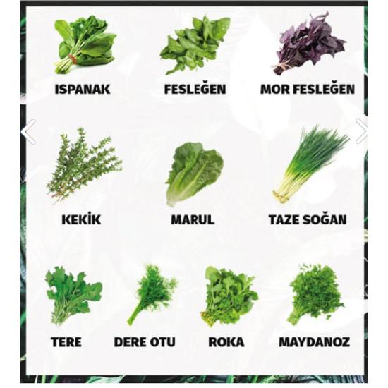 

3000 семян, 10 видов упаковки семян зелени