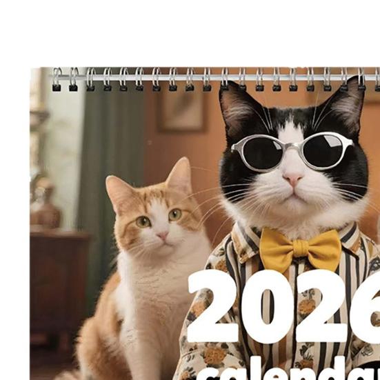 2026 Katzen Wandkalender JAN 2026 - DEZ 2026 Lustiger Monatsplaner mit Katzenkalender 12
