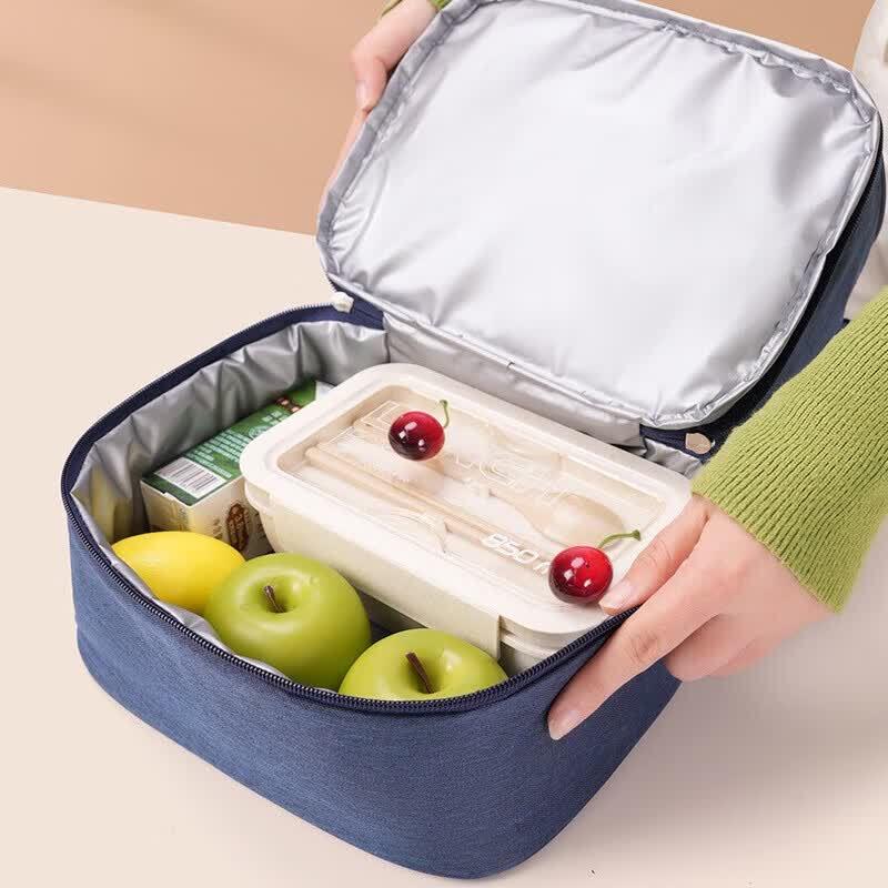 Portable Dual-Layer Insulated Lunch Bag