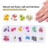 12 Farben Natürliche Trockenblumen für Acryl UV Gel Nail Art Tipps Design Etui DIY Deko C