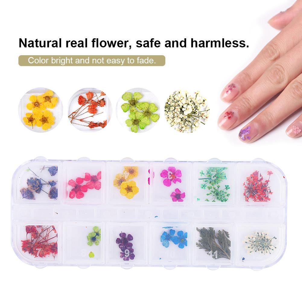 12 Farben Natürliche Trockenblumen für Acryl UV Gel Nail Art Tipps Design Etui DIY Deko C
