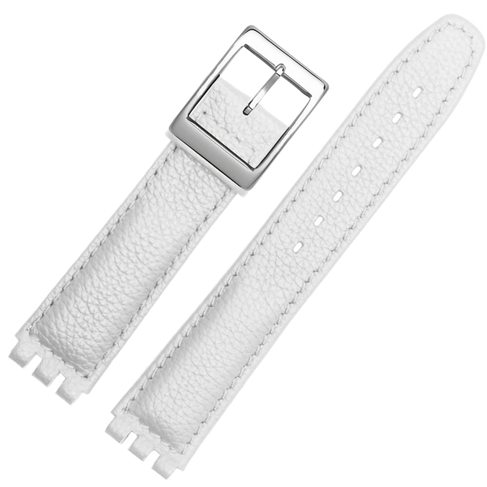 Chocoman Swatch Replacement Watch Band 3 Spring Spring Bar and 17mm/19mm [Includes Bars, Remover, Box]