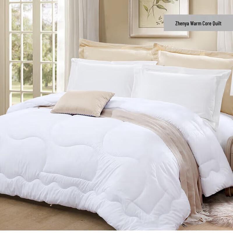 

Fuanna Warm Core Winter Quilt