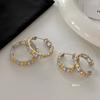 Zircon Earrings New Popular Earrings Women'S Light Luxury Fashion Foreign Style High-End Celebrity Style Exquisite Earrings