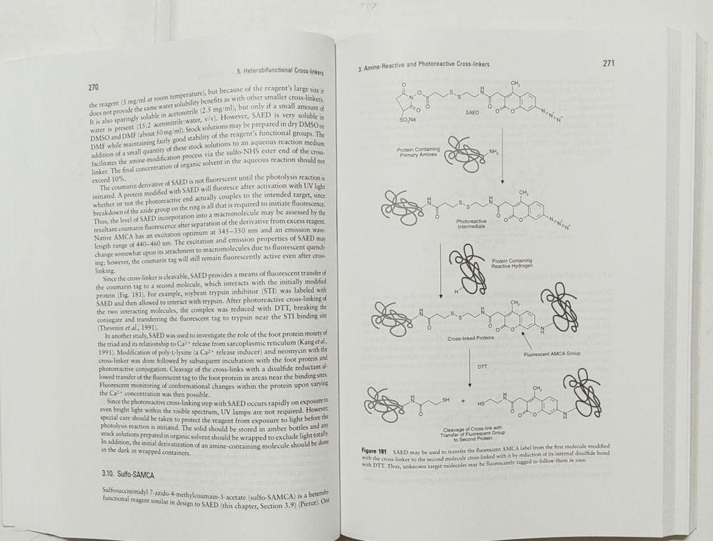 [USED] Foreign Books: Bioconjugate Technology