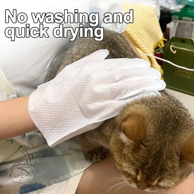 6/12/30pcsCat/Dog Disposable Glove Towels Pet Wash Free Glove No Rinse Washing Gloves Towels Deodorizing Dry Cleaning Wet Towels