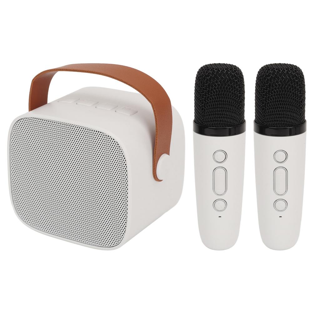 P2 Mini Karaoke Machine Portable Bluetooth Speaker with Wireless Microphone for Adults Kids White