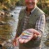 Lifelike Slow Sinking, Hard for and Stream Fishing, Artificial Fish