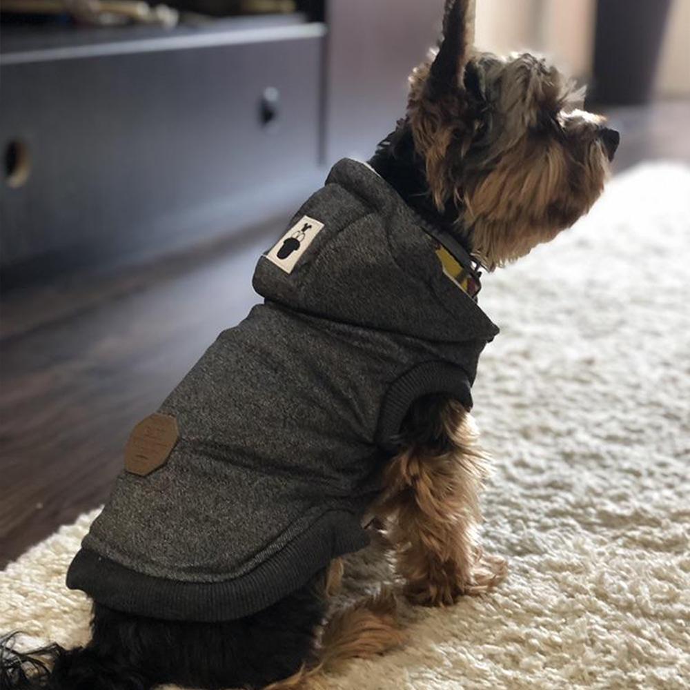 Vêtements d'hiver en coton chaud pour petits chiens, veste polaire pour chiot, manteau rembourré pour chien, Chihuahua, sweat à capuche, tenue Shih Tzu, Yorkies, personnalisé