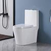 Wanxun 904 One-Piece Super Swirl Toilet