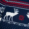 Polo Ralph Lauren FW23 Christmas Reindeer Pattern Wool Crew Neck Sweater Men Sweater Dark-Blue 710858358-001