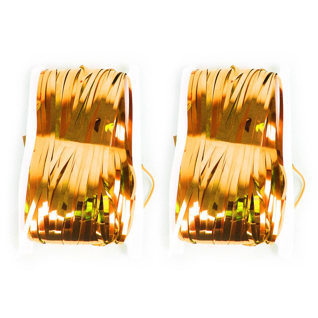 2Pcs Foil Fringes Backdrops Party Decoration 3.28x6.56ft Metallic Tinsel Photo Backdrop Curtains For Wedding Birthday