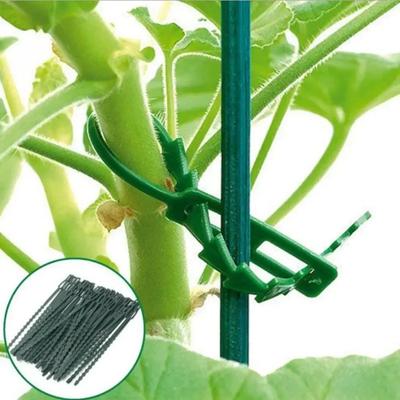 Adjustable Plants Cable Ties Garden Plant Vine Tree Shrubs Support Fastener Wrap Rings Locking Nylon Cables Ties Organizer Tools