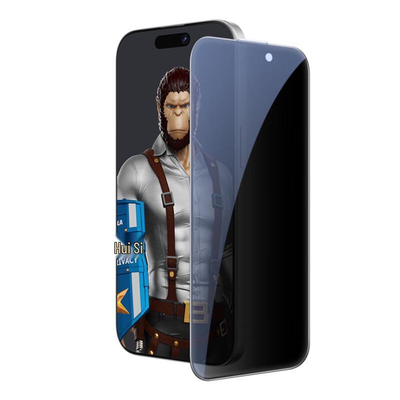 BLUEO Anti-Peep Tempered Glass Screen Protector for iPhone