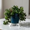 3 Pezzi Rialzi per Vasi da Fiori Stampa 3D Supporto per Fiori Compatto Antiscivolo Piedini Rialzati per Vasi da Fiori Ornamenti Durevoli per la Ventilazione per Giardino