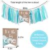 Big One Highchair Banner for 1st Birthday,First Birthday Banner for Baby Boys, Blue Highchair Banner, Pool Party Decorations for Kids Birthday, Cake