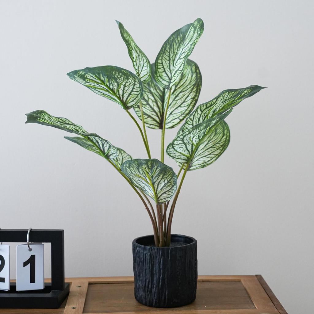 Artificial Turtle Back & Caladium Leaf Plants - Small Potted Decorations for Office, Living Room, or Coffee Table