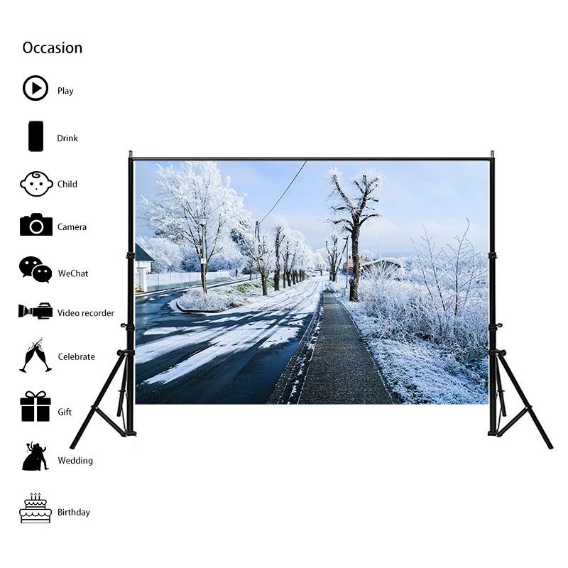 Winter Theme Snow Scene Background Nature Landscape Sky Snowflake Christmas Portrait Prop Party Decoration Banner
