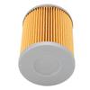 Engine Oil Filter Cylindrical Engine Fuel Filter Replacement for RYKER Ally Edition 900 ACE