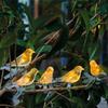 Solar Outdoor Waterproof Bird Light String Courtyard Villa Decorative Light Balcony Luminous Bird for Patio Fence Garden Yard