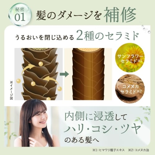 Organic shampoo treatment set Amino acid shampoo Beauty salon exclusive product Additive-free shampoo Salon shampoo Dandruff Additive-free organic sha