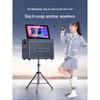 SANSUI C11 Portable KTV Speaker System with Display CN plug (adapter included) (CN version)