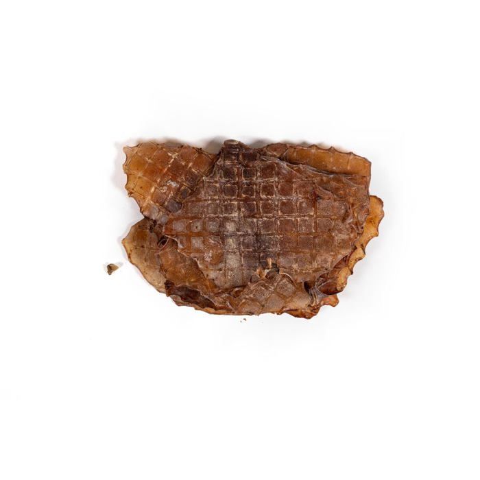 Nourriture humide poisson - Snackys - Snackys - 0,06 kg - 12,52 cm x 8,54 cm x 15,49 cm - Taille unique